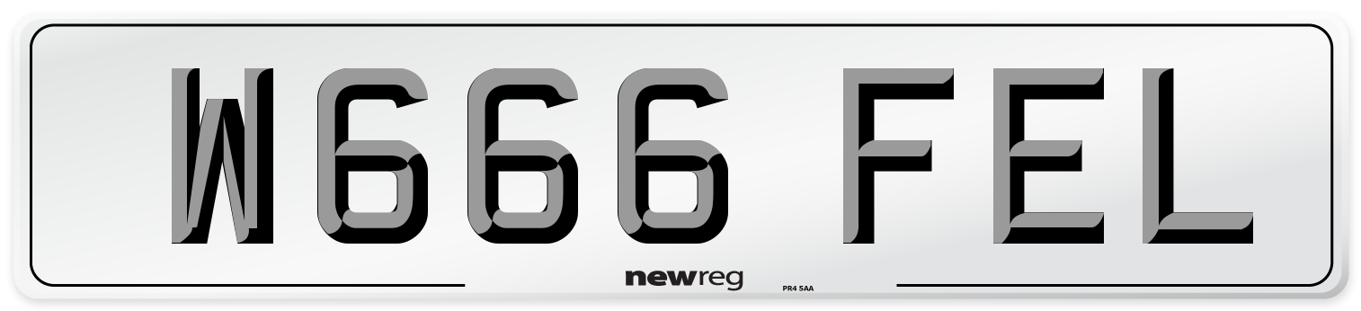 W666 FEL Number Plate from New Reg
